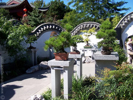Chinese Botanical Garden Montreal