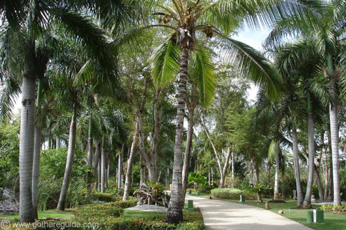 Paradisus Punta Cana Gardens
