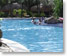 Paradisus Punta Cana Pool