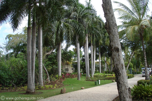 Paradisus Punta Cana grounds