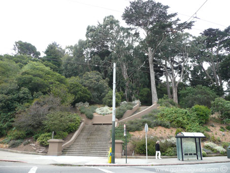 Buena Vista Park San Francisco